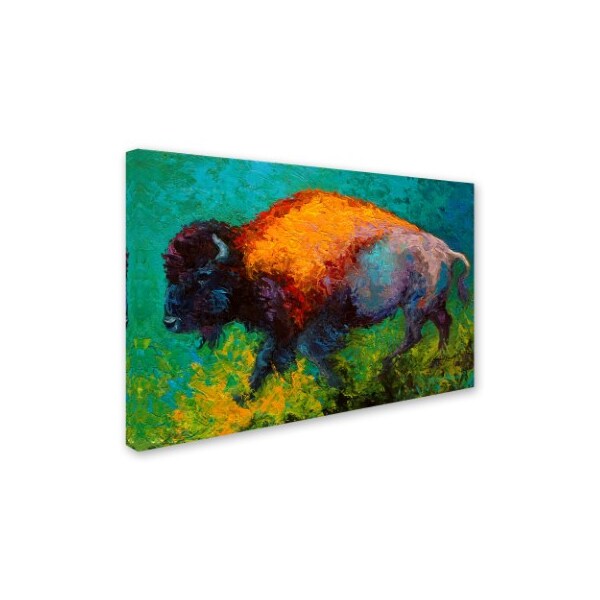 Marion Rose 'On The Run Bison' Canvas Art,16x24